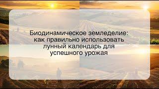 Биодинамическое земледелие: как правильно использовать лунный календарь для успешного урожая