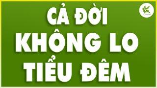 Bấm Vào Huyệt Này Thì Cả Đời Không Lo TIỂU ĐÊM - YÊN TÂM NGỦ NGON Một Giấc Đến Sáng | TCL