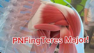 How to PNF Teres Major!