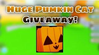 HUGE GIVEAWAY!Huge Pumkin Cat
