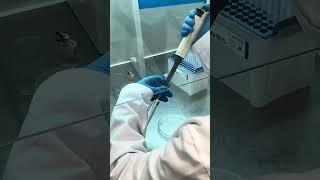 Эстетика биотехнологии в ИТМО  #итмо #университет #биотехнология #science #микробиология
