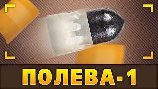 Пуля Полева. Начало