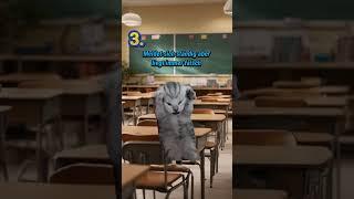 7 Arten von Schülern #katzenvideos #shorts #schüler #schule #katzen #katze