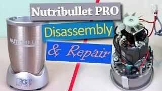 Nutribullet Pro 900 Series Blender Base Disassembly and Repair