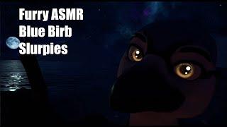 (Furry ASMR) Blue Bird Slurpiesfor Relaxation 
