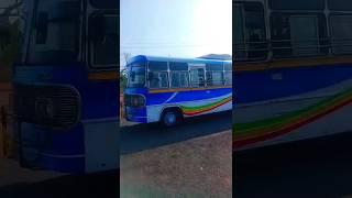 SURAJ | KAZUR - SANVORDEM |#goanprivatebusesfanabbu #eicher1075 #kazur #sanvordem #newlivery #goabus