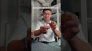 IMPOSSIBLE Coin Vanish