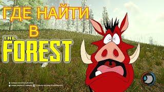 ГДЕ НАЙТИ В THE FOREST | КАБАН