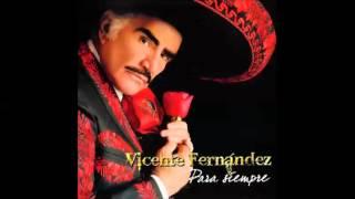 Vicente Fernandez   Estos Celos