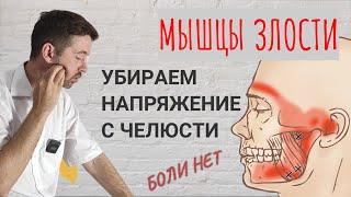 Жевательная мускулатура. Прорабатываем мышцы, убираем боль в челюстном суставе, голове.