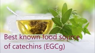 GreenTea Extract - EGCg