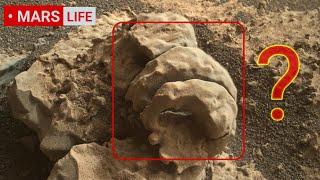 NASA Mars Rover Sent Most Incredible Footage Of Mars' Geology! Perseverance Curiosity' Mars In 4K