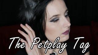 The Petplay Tag (2 Years Later!)