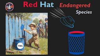 The Blue-Washing of Red Hat:The IBM Story