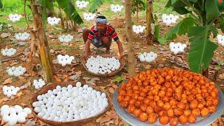 Awesome Finding and Cooking Duck Egg - Eating delicious VILLAGE HUNTER
