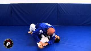 Brazilian Jiu-Jitsu Technique - DMBJJ - Americana from Mount