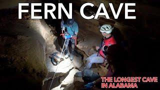 Fern Cave Monitoring Trip