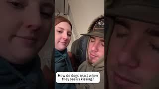 How does a dog react when he sees his owner kissing his wife?  #funny #cute #petlovers #happy #dog