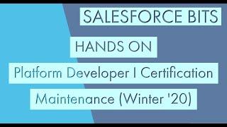 Hands-On-Platform Developer I Certification Maintenance (Winter 20)