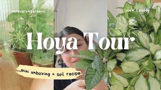  Unboxing, Hoya Tour, New Planters, & Soil Mix! | Hoya Plant Care Tips