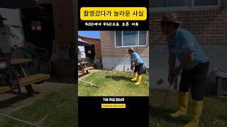 기초잡는데 400 에서 10프로 넘는 이유는 #남해 #골프 #잔디 #초보유튜버 #선장