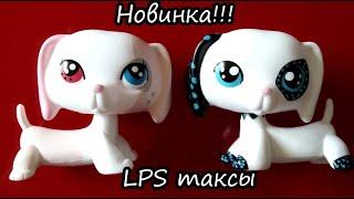 LPS: мои редкие лпс таксы обзор petshop