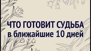 ЧТО СПЕШИТ В ВАШУ ЖИЗНЬ в ближайшие 10 дней taro gadanie / @diamondway