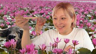 Japanese woman is looking for amazing Thai food with beef in Thailand. [Udon Thani & Nong Khai]