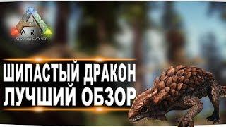 Шипастый дракон (Thorny Dragon)  в АРК. Лучший обзор: приручение, разведение и способности  в ark