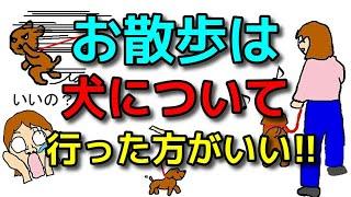 【犬 しつけ 散歩】散歩は犬について行った方がいいんです！犬のしつけエマチャンネル【犬のしつけ＠横浜】