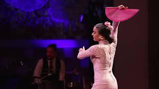 Espectáculo: Gran Gala Flamenco - Palau de la Música Catalana