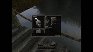 TES3 Morrowind Speedrun in 3:05 (World Record)