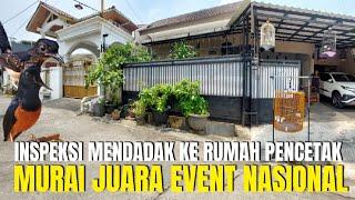 INSPEKSI MENDADAK KE RUMAH PENCETAK MURAI TROTOL,PASTOLAN PROSPEK ANAKAN JUARA NASIONAL DI BEKASI