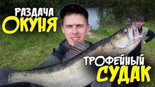 РАЗДАЧА ОКУНЯ! ТРОФЕЙНЫЙ СУДАК! ДЕСНА 2021. Открытие рыбалки с лодки.