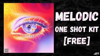 [FREE] MELODIC ONE SHOT KIT "VISION" 2024 | Free Download