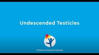 What are Undescended Testicles?