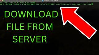 The Easiest Way to Download a File from Server using SSH (+ SCP Method)