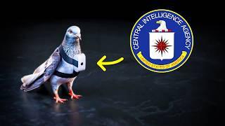 The Weirdest CIA Experiment