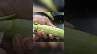 #easy #vegcarvingart #easy #vegetablecarving #vegetable  flower carving easy#snake gourdart carve.