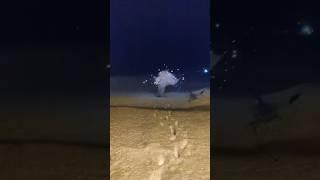 Самое большое питарды в озон
