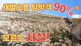 제주도 새별오름 탐방객 90%가 모르는 사실!