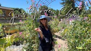 June Garden Chores! ️🪴