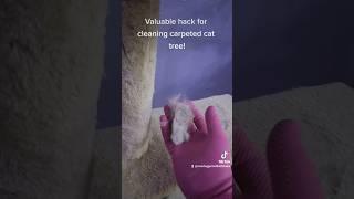 Valuable hack for cleaning carpeted cat tree! #cleaninghacks #lifehacks #catcleaning #hack #cats