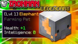 I Farmed 7,000,000 SUGAR CANE for this Pet... (Hypixel Skyblock Ironman) #60