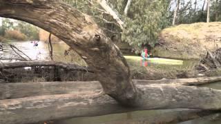 Berg River Canoe Marathon -  Day 2