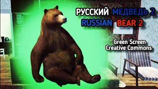 РУССКИЙ МЕДВЕДЬ ХРОМАКЕЙ ФУТАЖ НА ЗЕЛЁНОМ ФОНЕ 2. BEAR GREEN SCREEN, CHROMAKEY FOOTAGE.