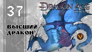 Высший дракон - Dragon age: Origins - Прохождение за мага поддержки (кошмарный сон) - #37