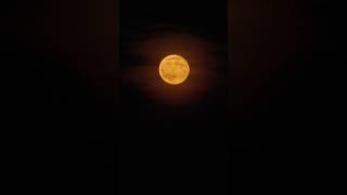 Strawberry Moon 2025  Time-Lapse  | Sony 70-200mm f2.8 GM II #timelapse #moon #sonya7iv