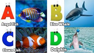 Sea Animals Alphabet Song for children | Alphabet Letters, Baby, Learn ABC | Phonics for Kids