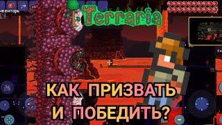 СТЕНА ПЛОТИ - КАК ПРИЗВАТЬ И ПОБЕДИТЬ?! Террария Гайды